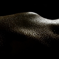 Dark Droplets Bodyscape